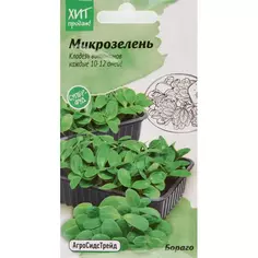 Семена Микрозелень «Бораго» АГРОСИДСТРЕЙД