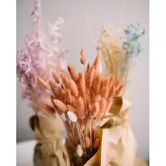 Картина на стекле Сухоцветы 40х50 см Postermarket