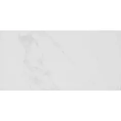 Плитка настенная Axima Монако 25x50 см 1.25 м² матовая цвет белый