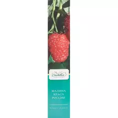 Саженцы плодово-ягодные в коробке h35 микс Без бренда