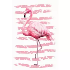Картина на холсте Постер-лайн Розовый фламинго 40x60 см