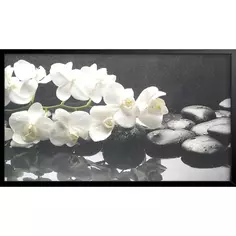Картина в раме Белые орхидеи 60x100 см Без бренда