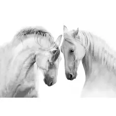 Картина на холсте Белые кони 40x60 см Без бренда