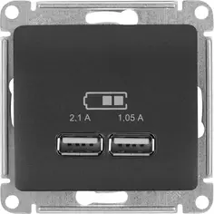 Розетка Schneider Electric Glossa USB встраиваемая цвет графитовый