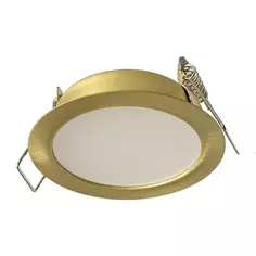 Светильник точечный светодиодный встраиваемый влагозащищенный СК50-4S под отверстие 60 мм 1.5 м² белый свет цвет золото СВЕТКОМПЛЕКТ