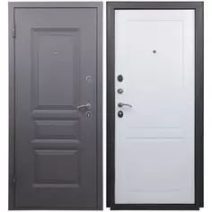 Дверь входная металлическая 2Ф 205x96 см. левая арктик Без бренда