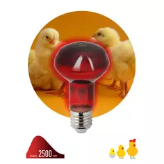 Инфракрасная лампа Эра для животных ИКЗК Е27 230-60 R63 Е27 ERA