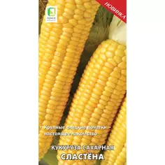 Семена овощей Поиск кукуруза сахарная Сластена