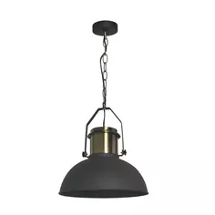 Светильник подвесной Inspire Ted, 1 лампа, 3 м², цвет черный