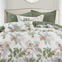 Постельное белье 2-спальное, простыня 200х220 см, 2 наволочки 70х70 см, пододеяльник 175х215 см, Cleo, сатин, коллекция Satin Lux, 20/646-SL