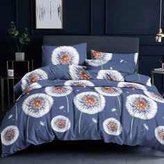 Постельное белье 1.5-спальное, простыня 150х220 см, 2 наволочки 70х70 см, пододеяльник 145х215 см, Cleo, полисатин, коллекция Art Color, 15/281-AC