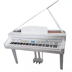 Цифровые пианино Medeli