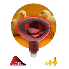 Лампа инфракрасная ЭРА E27 150 Вт для обогрева животных и освещения ИКЗК 230-150 R127 Б0055441 ERA