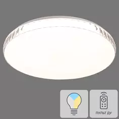 Светильник настенно-потолочный светодиодный Dina 2077/DL с пультом управления, 14 м², регулируемый свет, цвет белый Сонекс