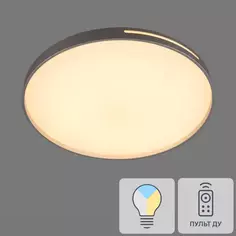 Светильник настенно-потолочный светодиодный Geta Silver 2076/EL с пультом управления, 18 м², регулируемый свет, цвет белый Сонекс
