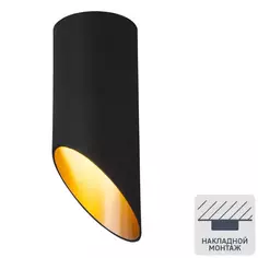 Светильник точечный накладной Elektrostandard DLN114, 2 м², цвет чёрный/золото