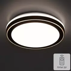 Светильник настенно-потолочный Сонекс Pale LED 48W ø 400 цвет черный/медный ДУ