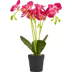 Искусственное растение Орхидея в горшке ø14 ПВХ цвет красный Без бренда