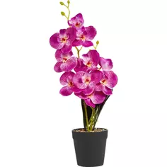 Искусственное растение Орхидея в горшке ø12 ПВХ цвет фиолетовый Без бренда