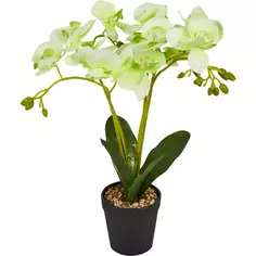 Искусственное растение Орхидея в горшке ø14 ПВХ цвет зеленый Без бренда