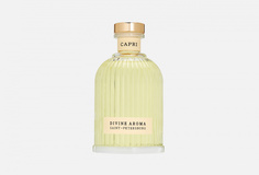 Аромадиффузор Divine Aroma