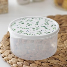 Контейнер пищевой доляна