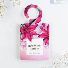 Ароматизатор для дома (саше) NO Brand