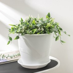 Горшок для цветов с поддоном NO Brand