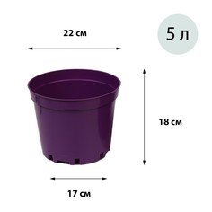 Горшок для рассады, 5 л, d = 22 см, h = 18 см, фиолетовый, greengo