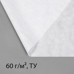 Материал укрывной, 10 × 1,6 м, плотность 60 г/м², с уф-стабилизатором, белый, greengo, эконом 20%