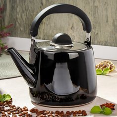 Чайник нержавеющая сталь, 2.8 л, ручка бакелитовая, с силиконовым покрытием, Daniks, индукция, черный, GS-04131B