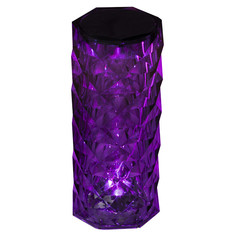 Настольные лампы декоративные LED лампа настольная-ночник СТАРТ 2LED Crystal Rose Black