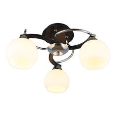 Люстра Потолочная люстра Omnilux Caldiero OML-25407-03