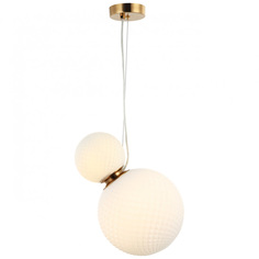 Светильник Подвесной светильник Aployt Patunia APL.301.06.02