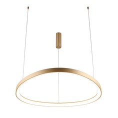 Светильник Подвесной светильник Aployt Zula APL.022.03.60