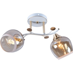 Светильник Потолочный светильник Reluce 95143-0.3-02 WH+FGD