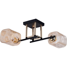 Светильник Потолочный светильник Reluce 72108-0.3-02 BK+FGD