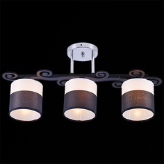 Светильник Потолочный светильник Reluce 05019-0.3-03C BK+CR