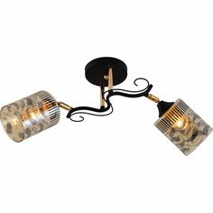 Светильник Потолочный светильник Reluce 11313-0.3-02 BK+FGD