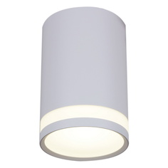 Светильник Точечный светильник Reluce 16134-9.5-001MZ MR16 WT