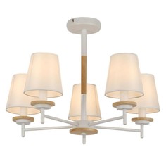 Люстра Потолочная люстра MyFar Daniel MR1841-5C