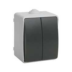 Выключатель двухклавишный IEK Fors серый EVS20-K03-10-54-DC