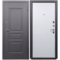 Дверь входная металлическая 2Ф 205x86 см. правая арктик Без бренда