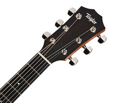 Academy 10 Academy Series, Layered Sapele, Sitka Spruce Top, Dreadnought Taylor