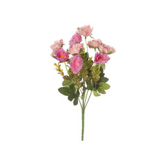 Хризантема ВеЩицы