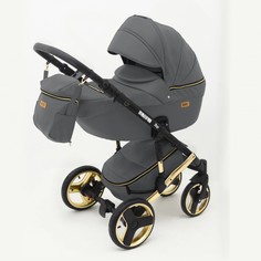 Коляски 2 в 1 Коляска Ray Ultra Gold 2 в 1