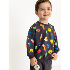 Толстовки и свитшоты Artie Толстовка для мальчика T-067m