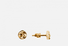 Гвоздики серебряные Goldengal