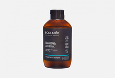 Шампунь Ecolatier