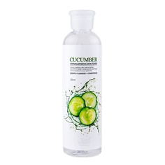 Уход за лицом ECO BRANCH Тонер с экстрактом огурца 250